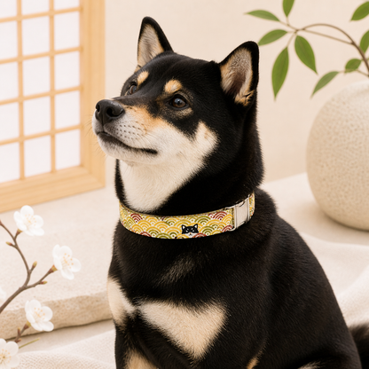 Shiba Inu Dog Collar