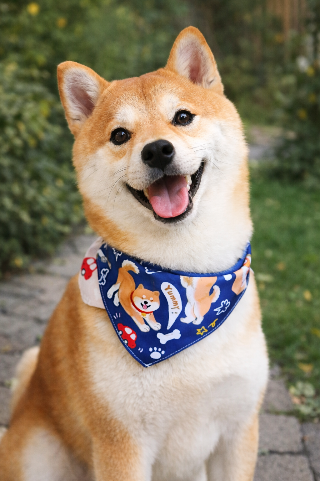 Shiba Inu Reversible Bandana